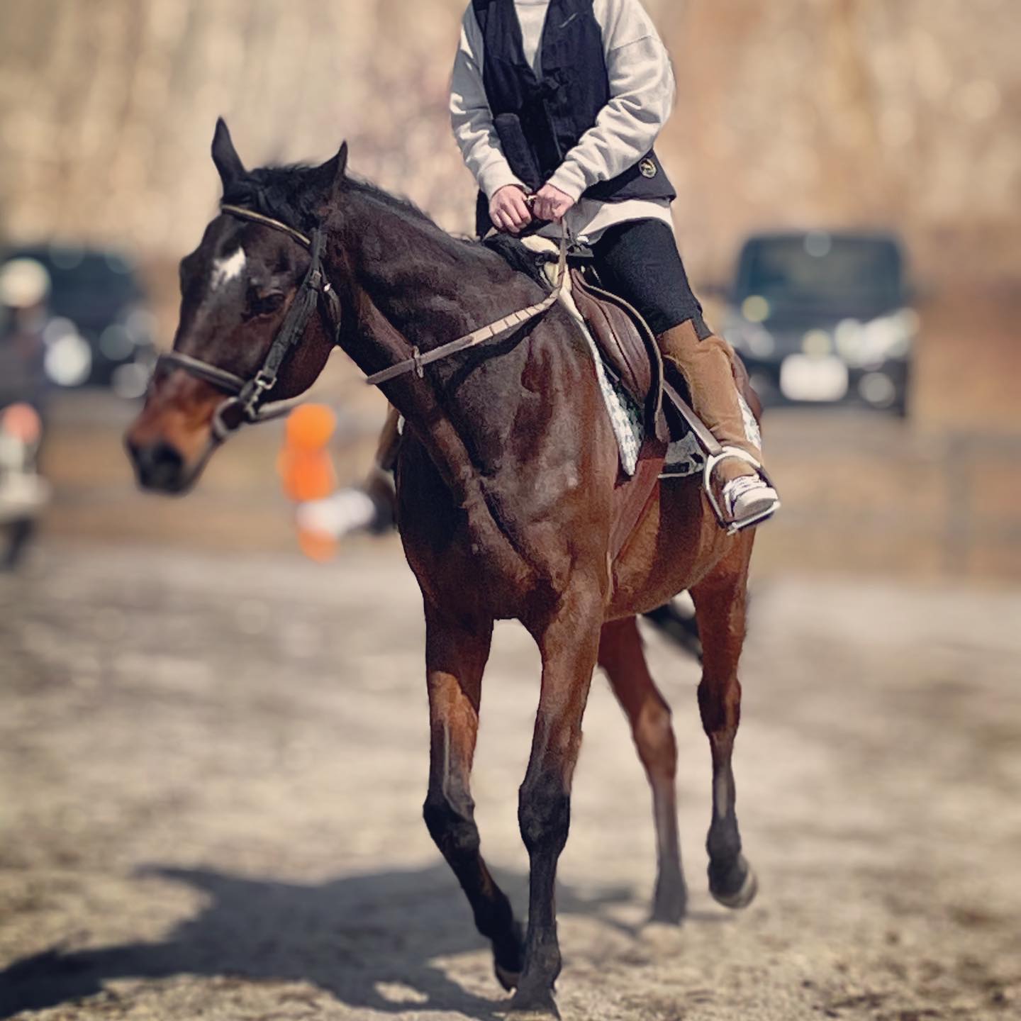 乗馬体験をしました
子供の頃、馬に乗って駆けるのが夢だったことを思い出しました

体験の後快くスケッチをさせてくださった JB北広島乗馬クラブ のスタッフの方々
ありがとうございました！